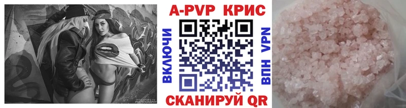 A PVP СК  Грозный 