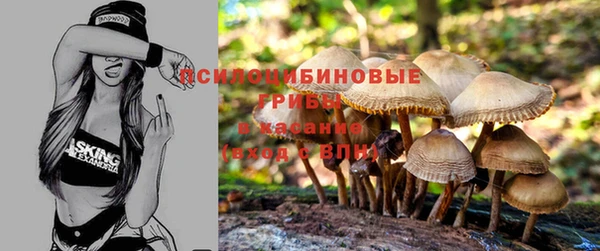 a pvp Абинск