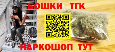 индика Бийск