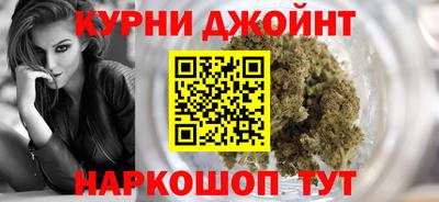 индика Бийск