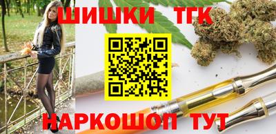 индика Бийск