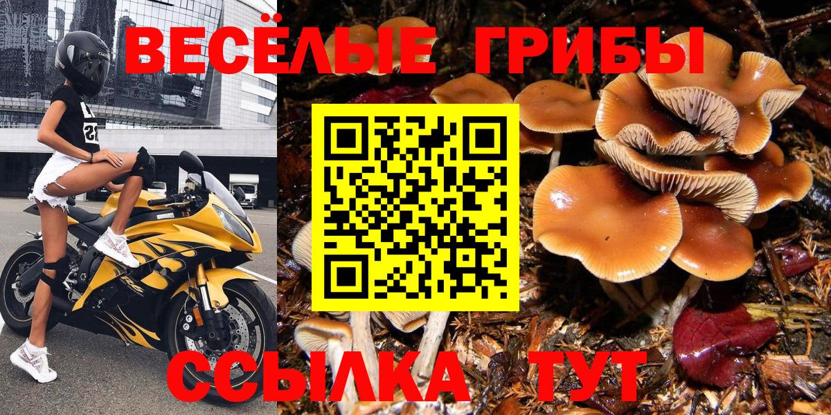 Галлюциногенные грибы мицелий Грозный